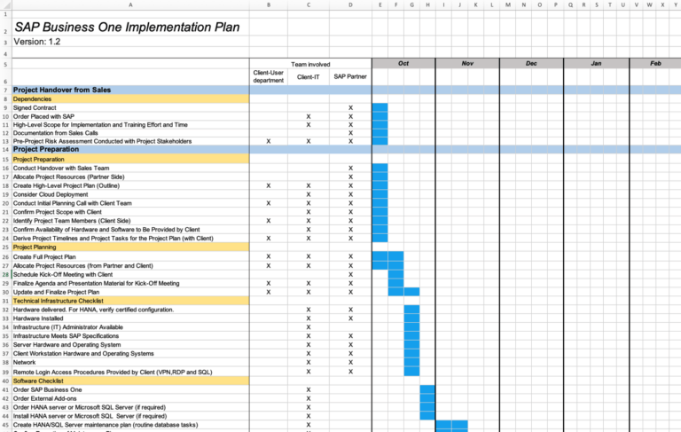 SAP Business One Project Plan – Tactical Project Manager