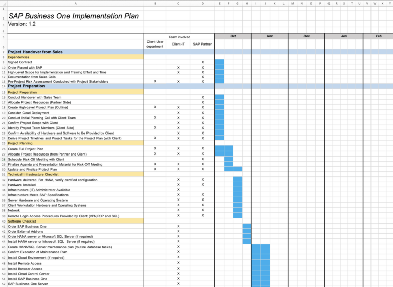 SAP Business One Project Plan – Tactical Project Manager